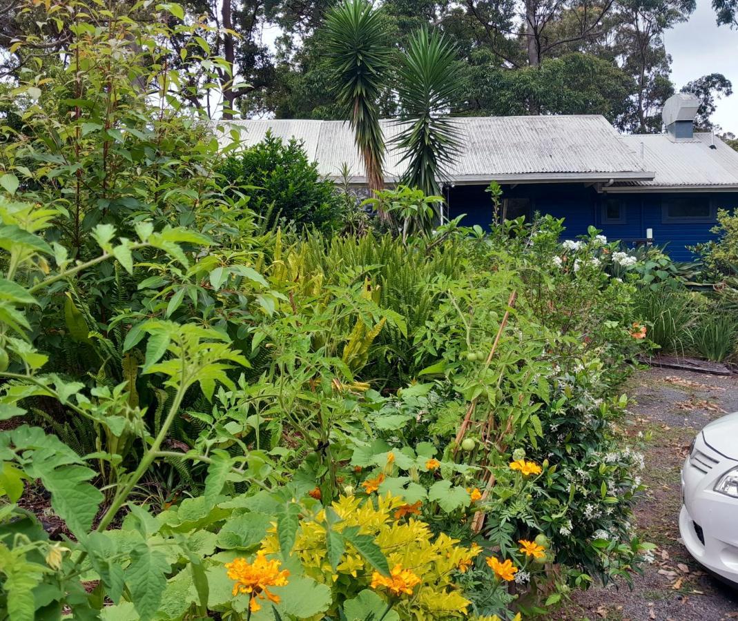 Sky Island Studios Mount Tamborine Exterior foto